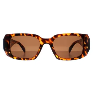 Atum Sunglasses Nyx C2 Shiny Havana Brown