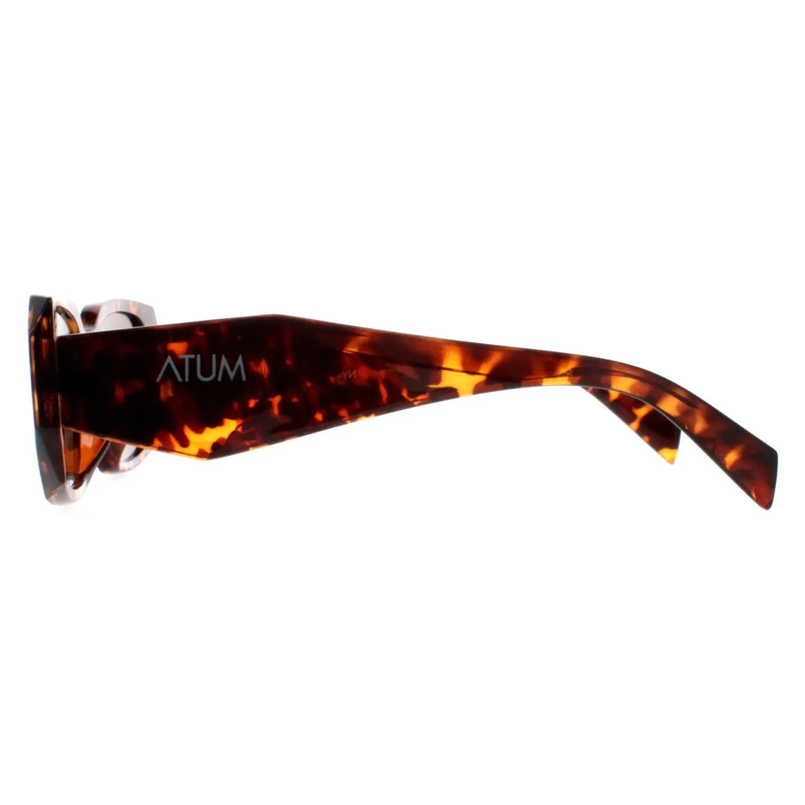 Atum Sunglasses Nyx C2 Shiny Havana Brown