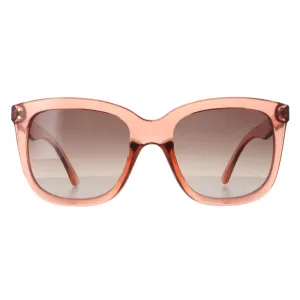 Calvin Klein Sunglasses CK22550S 674 Dusty Pink Brown Gradient