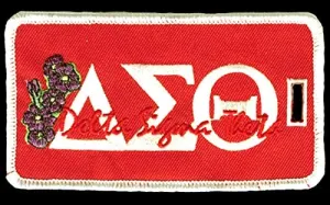 Delta Sigma Theta Embroidery Id/luggage Tag 3 Letters